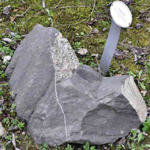 Geological Timeline Collection — 12 Specimens