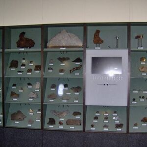 Meteorite Collectors Set — 4 Specimens — Compact Set