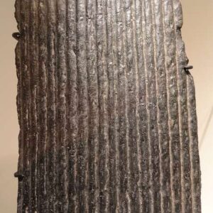 Plant Fossil — Sigillaria — Small Specimen