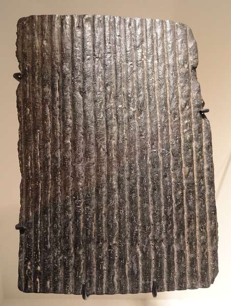 Plant Fossil — Sigillaria — Exceptional Preservation