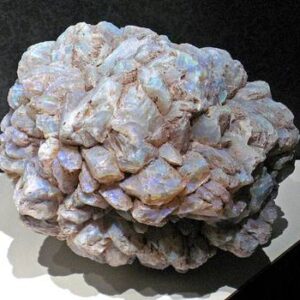 White Opal — Harlequin