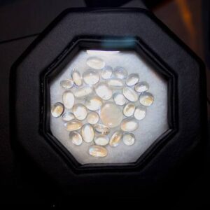 Cat's Eye Chrysoberyl — Gem Rough