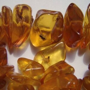 Amber with Insect Inclusion