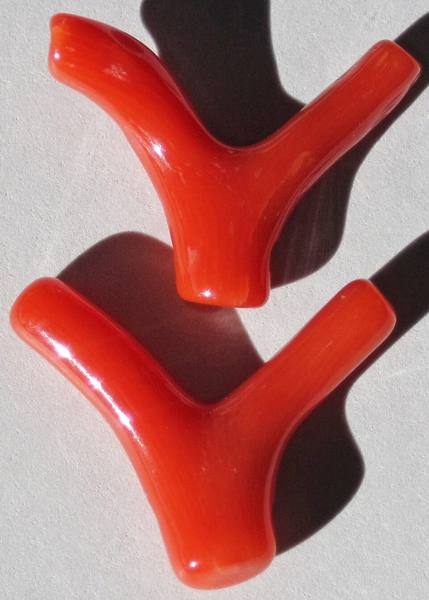 Coral Specimen — Red — Collector Grade