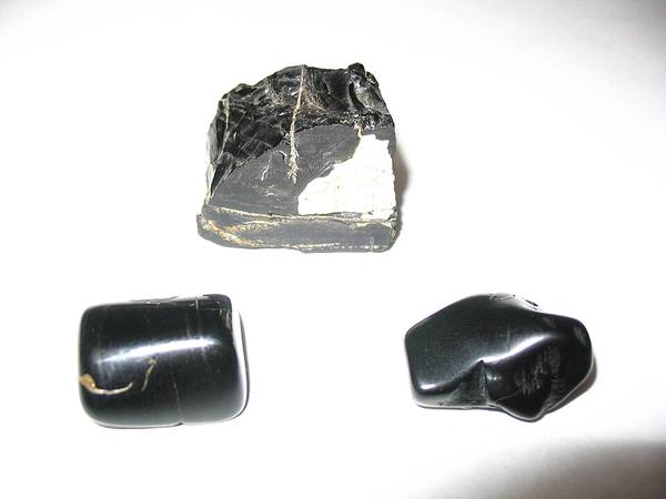 Jet Carved Specimen — Gem Rough