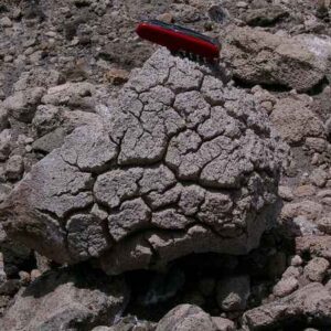 Volcanic Bomb — Breadcrust — Large Specimen