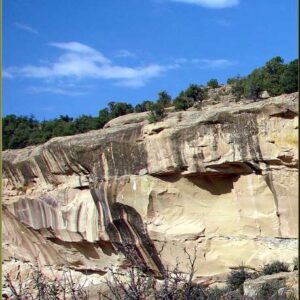 Desert Varnish Sandstone — Large Specimen