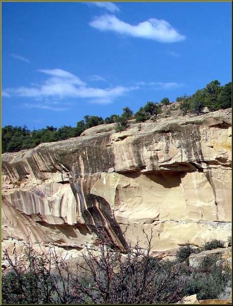 Desert Varnish Sandstone — Large Specimen