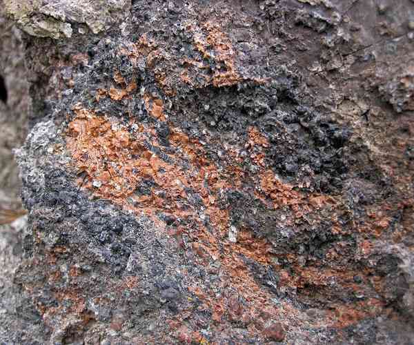 Obsidian — Mahogany Flow — Specimen Grade