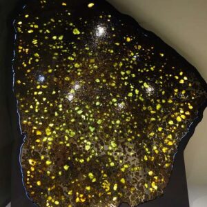 Pallasite Meteorite — Olivine in Metal — Etched Section