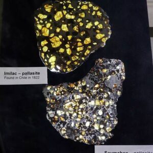 Seymchan Pallasite — Large Slice