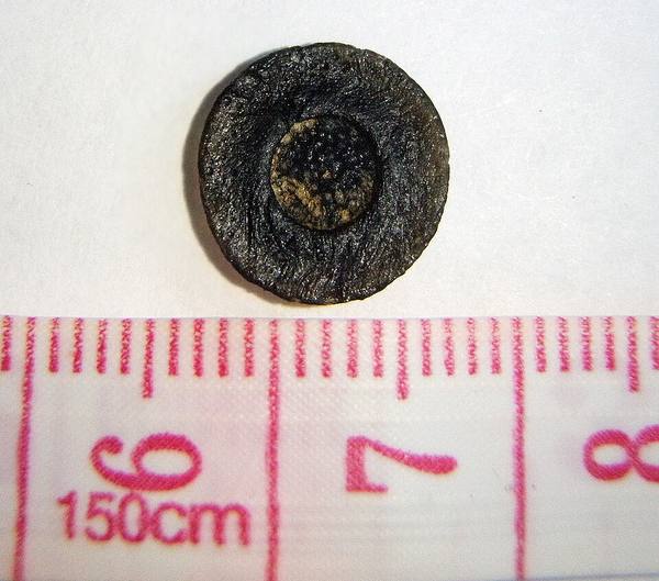 Australite Button — Small Individual