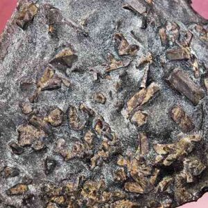 Staurolite Twin — Fairy Stone — Miniature