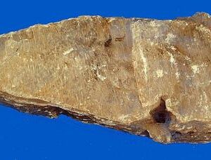 Selenite Gypsum Wand — Display Piece