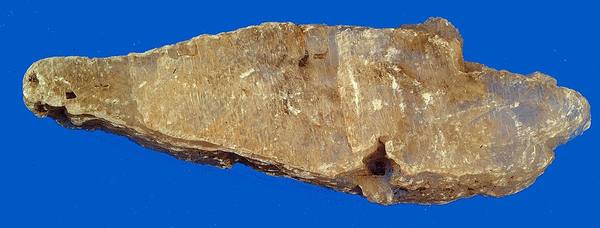 Selenite Gypsum Wand — Specimen Grade