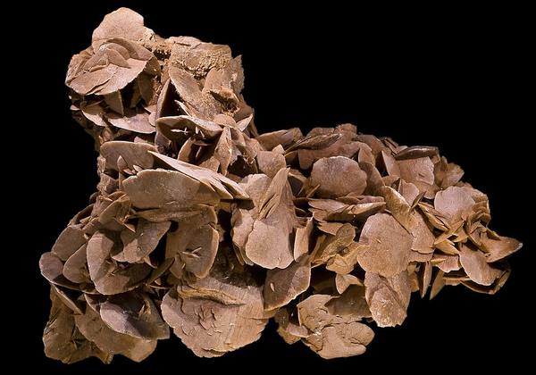 Desert Rose Barite — Display Piece