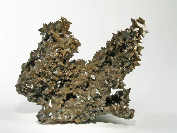 Calcite Dog-Tooth Cluster — Specimen Grade