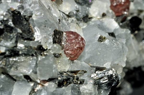 Rhodolite Garnet Crystal — Cabinet Specimen